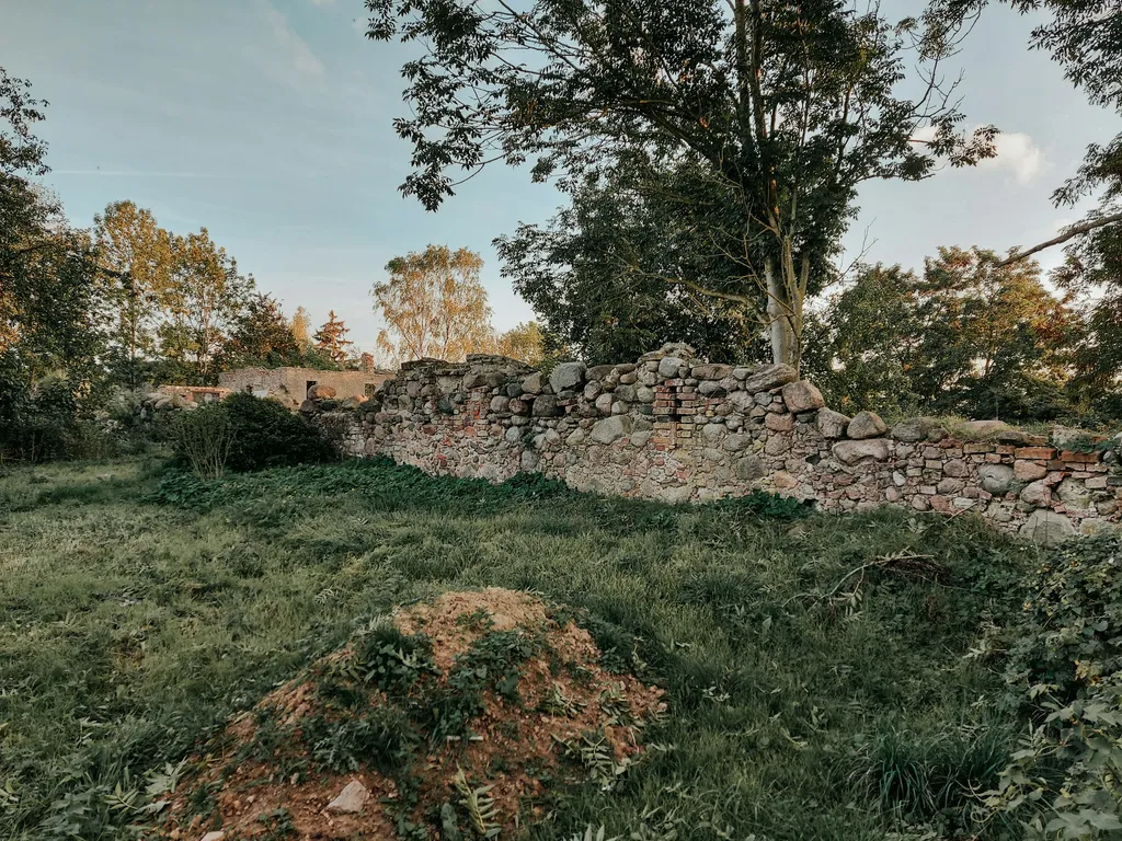 Natur pur im Tollensetal (MV)