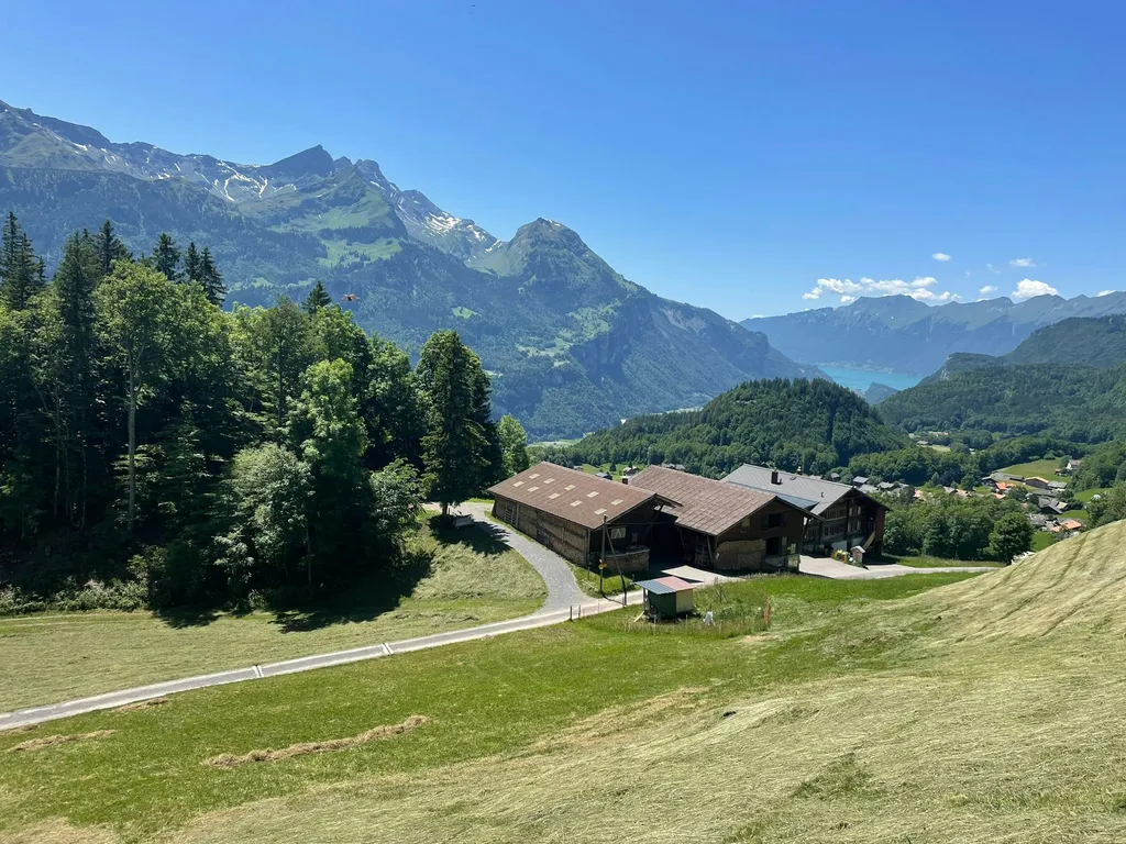 Biohof Beutefluh am Hasliberg