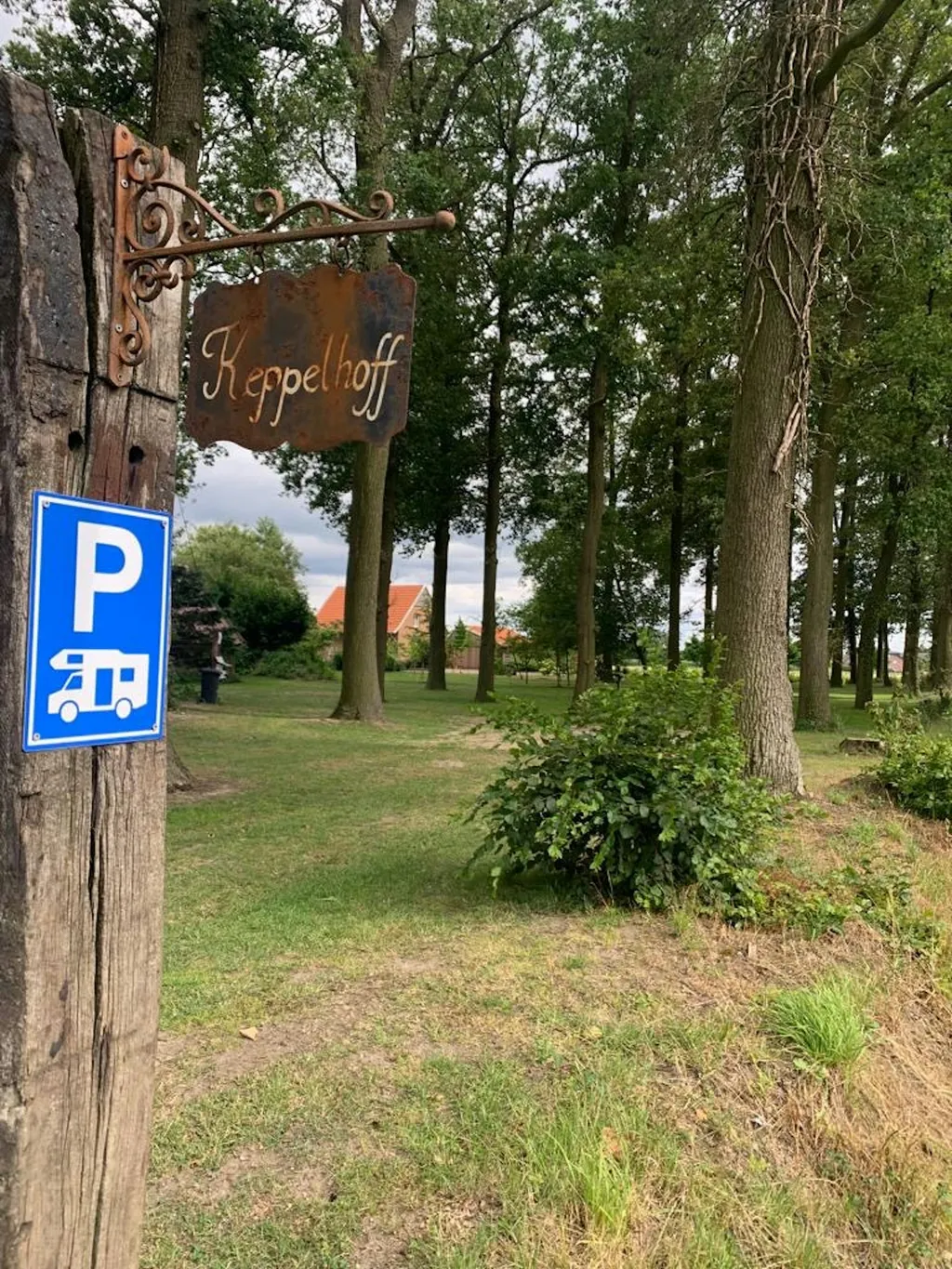 Stellplatz im Eichenwald