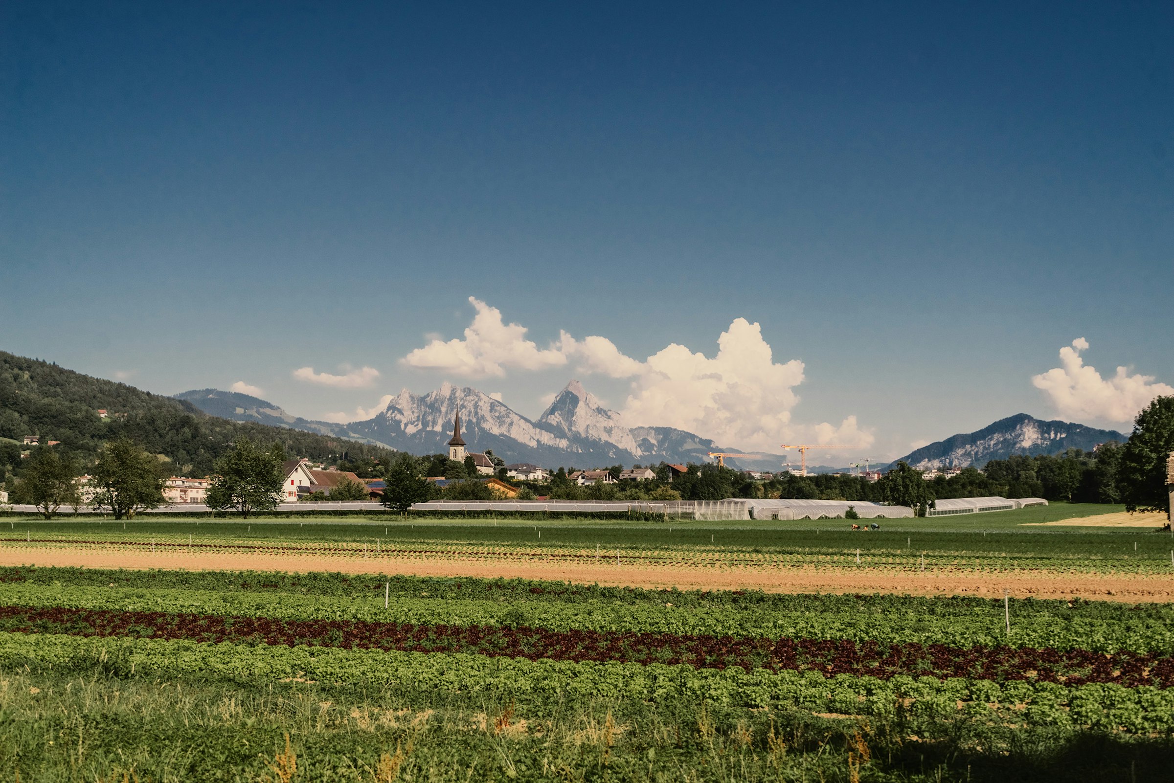 Blick auf die Mythen und das umliegende Gelände