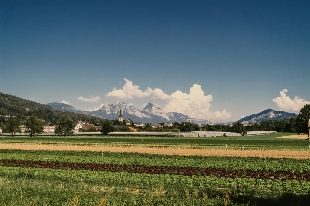 Von Deinem Stellplatz hast Du einen tollen Blick auf die Mythen und das umliegende Gelände