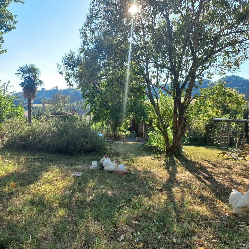 Idyllisches Landgut - Natur pur