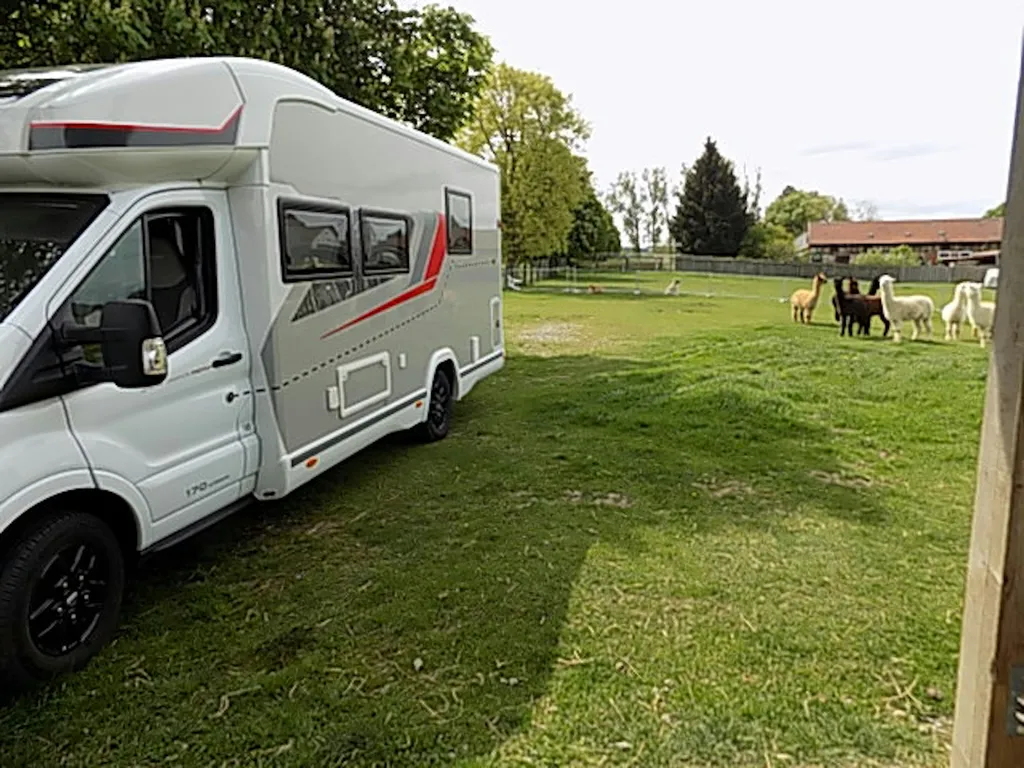Alpaka-"Seminar"-Stellplätze + Komfort Erlebnisse!