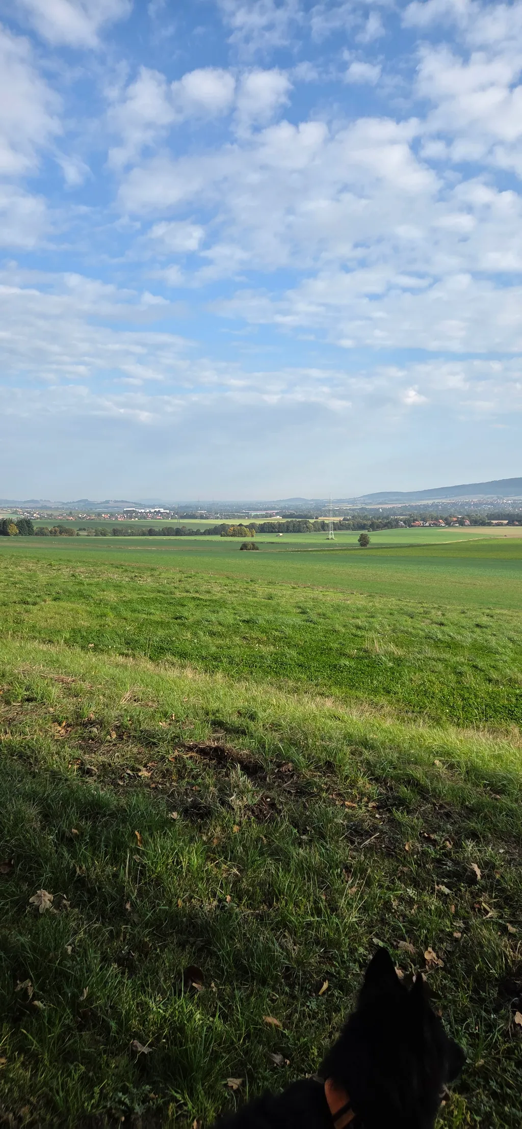 Bild von Karina für den Spot 1878