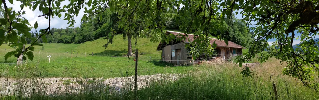 Hofparadiesli - Wiesenplatz bei der Tanne