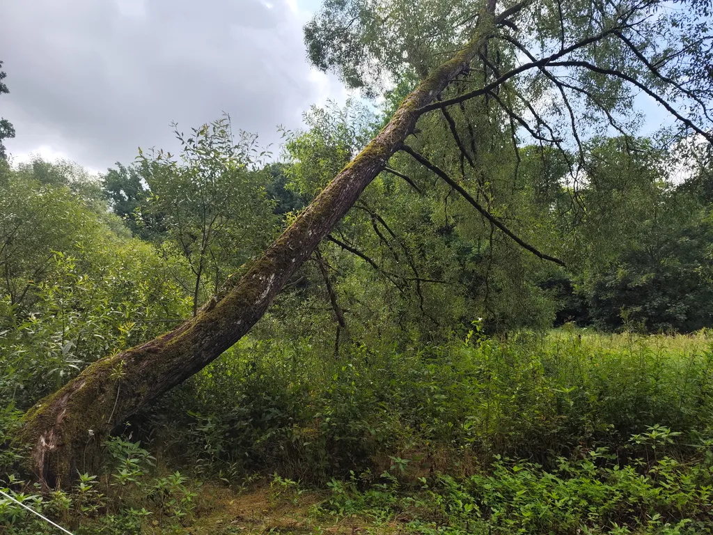 Bild von Maren & Alfred für den Spot 3634