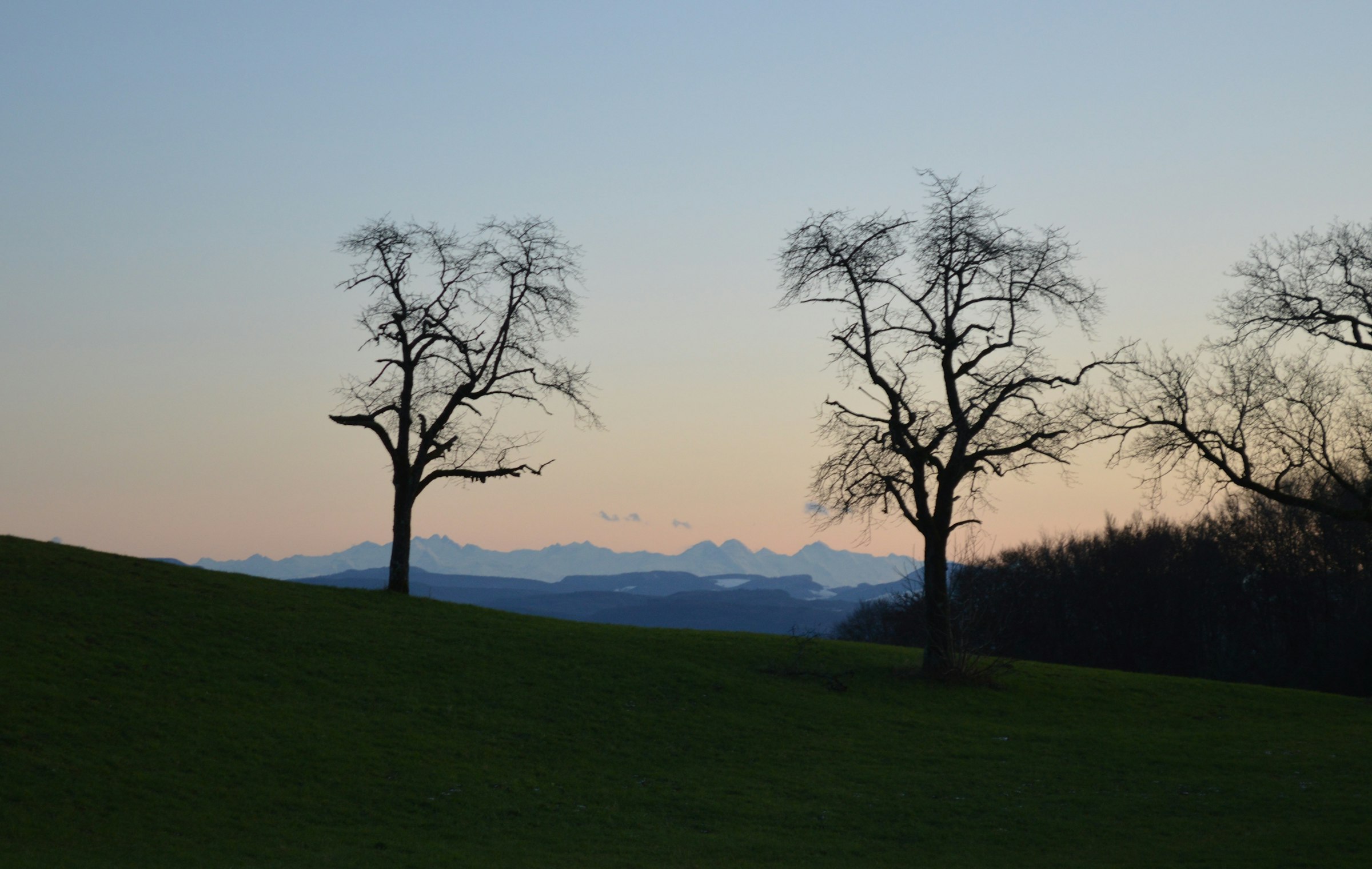 Möhrenblick — photo 2