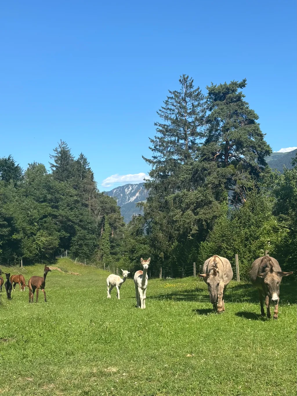 Bild von Carmen für den Spot 1287