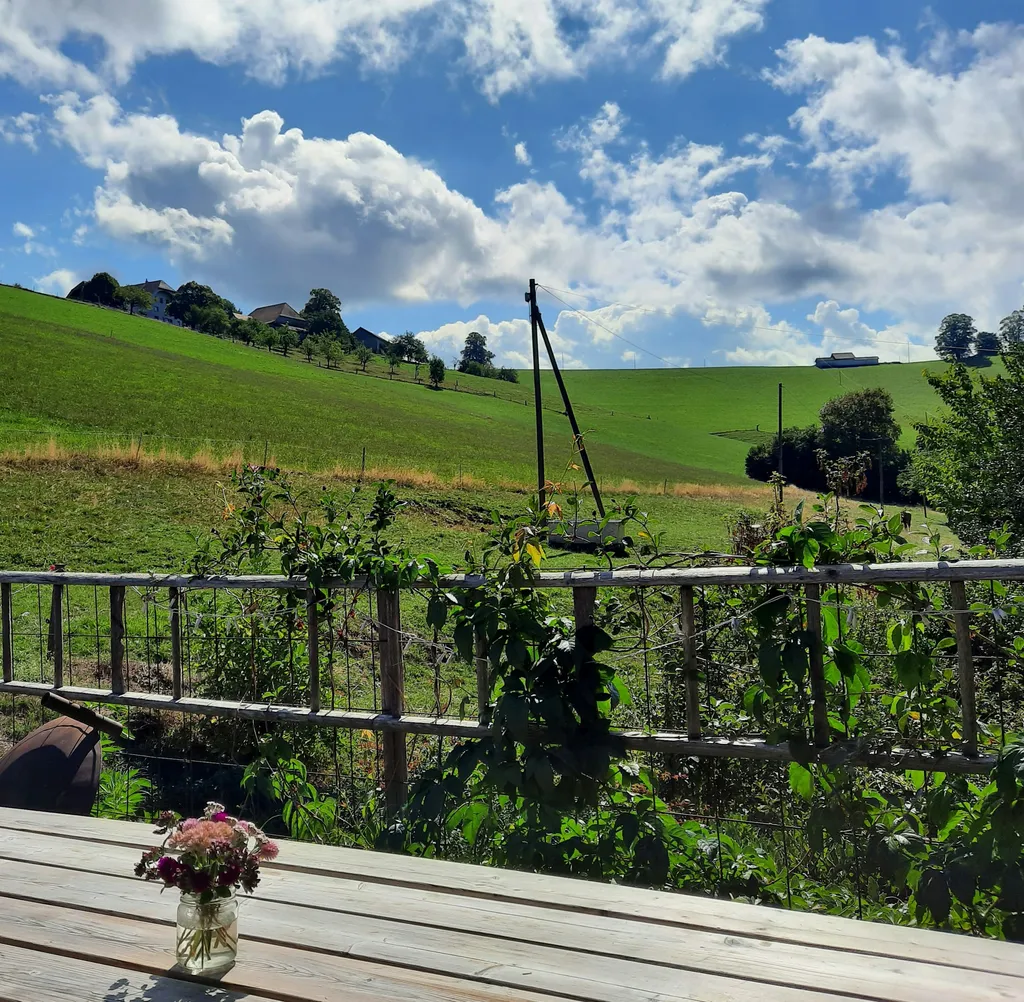 Aussicht vom Sitzplatz Richtung Süden