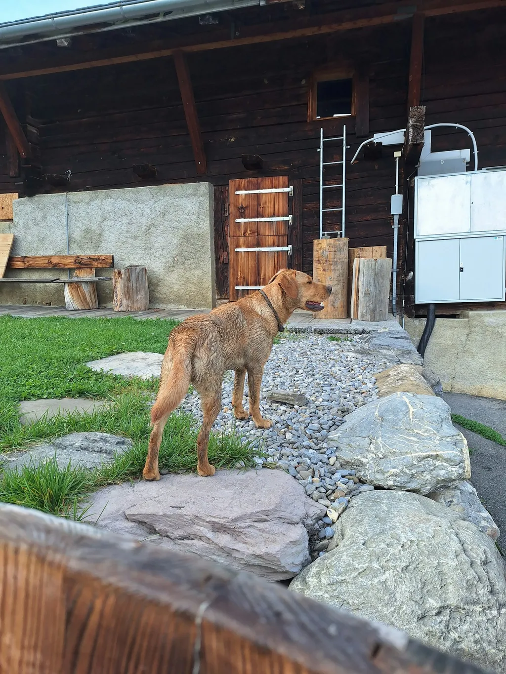 Ritz Camp - Berge im Blick