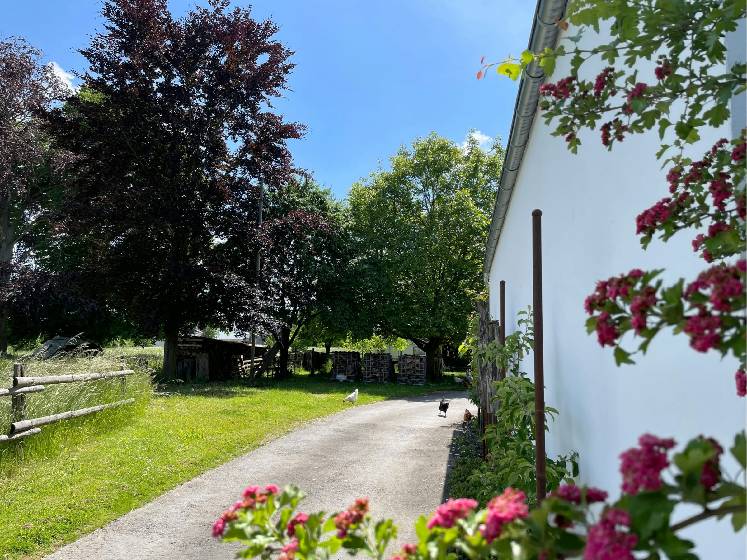 Hof-Camping mit Bördeblick