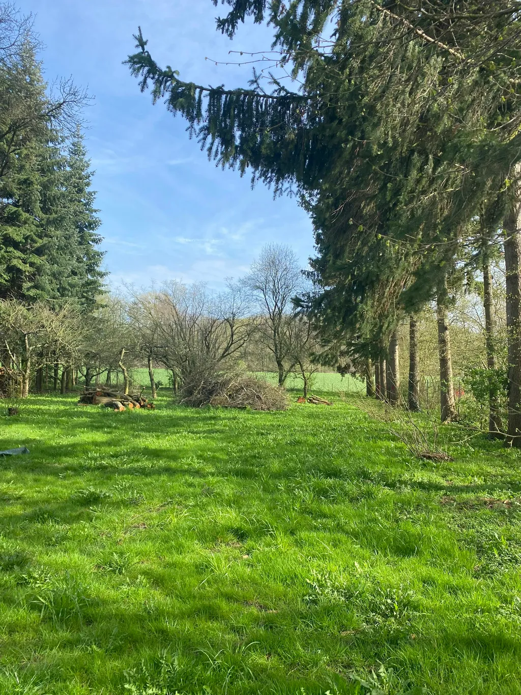 Kleine Hütte am Wald in Ostseenähe