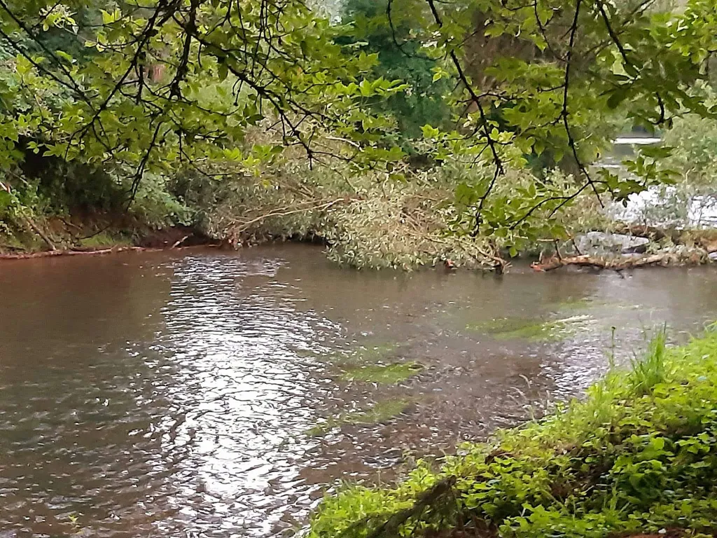 Unique dans le Région de Longwy