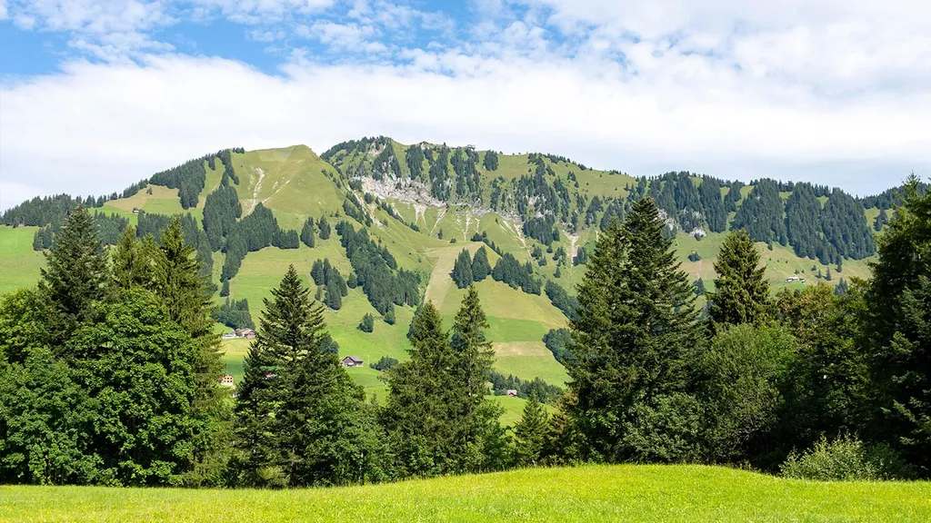 Mit Blick aufs Stanserhon...