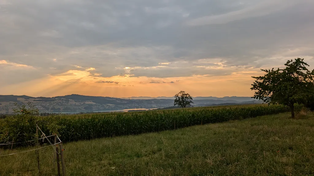 Bild von Lior für den Spot 3763