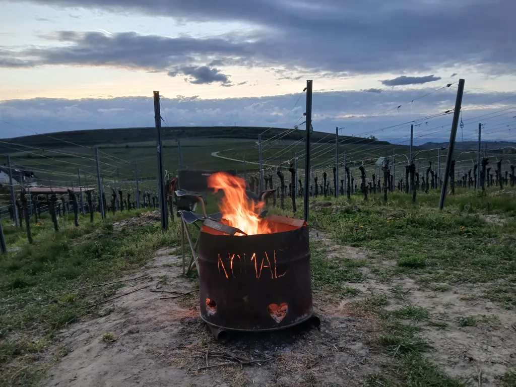 Bild von Nora für den Spot 3482