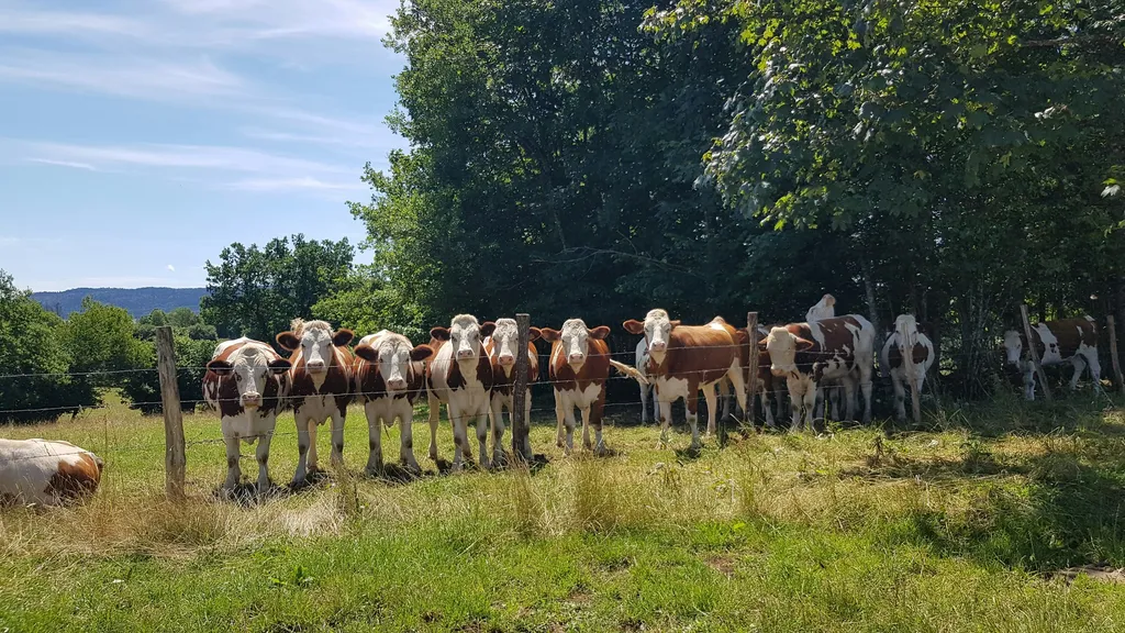 Prairie spacieuse dans le Doubs.
