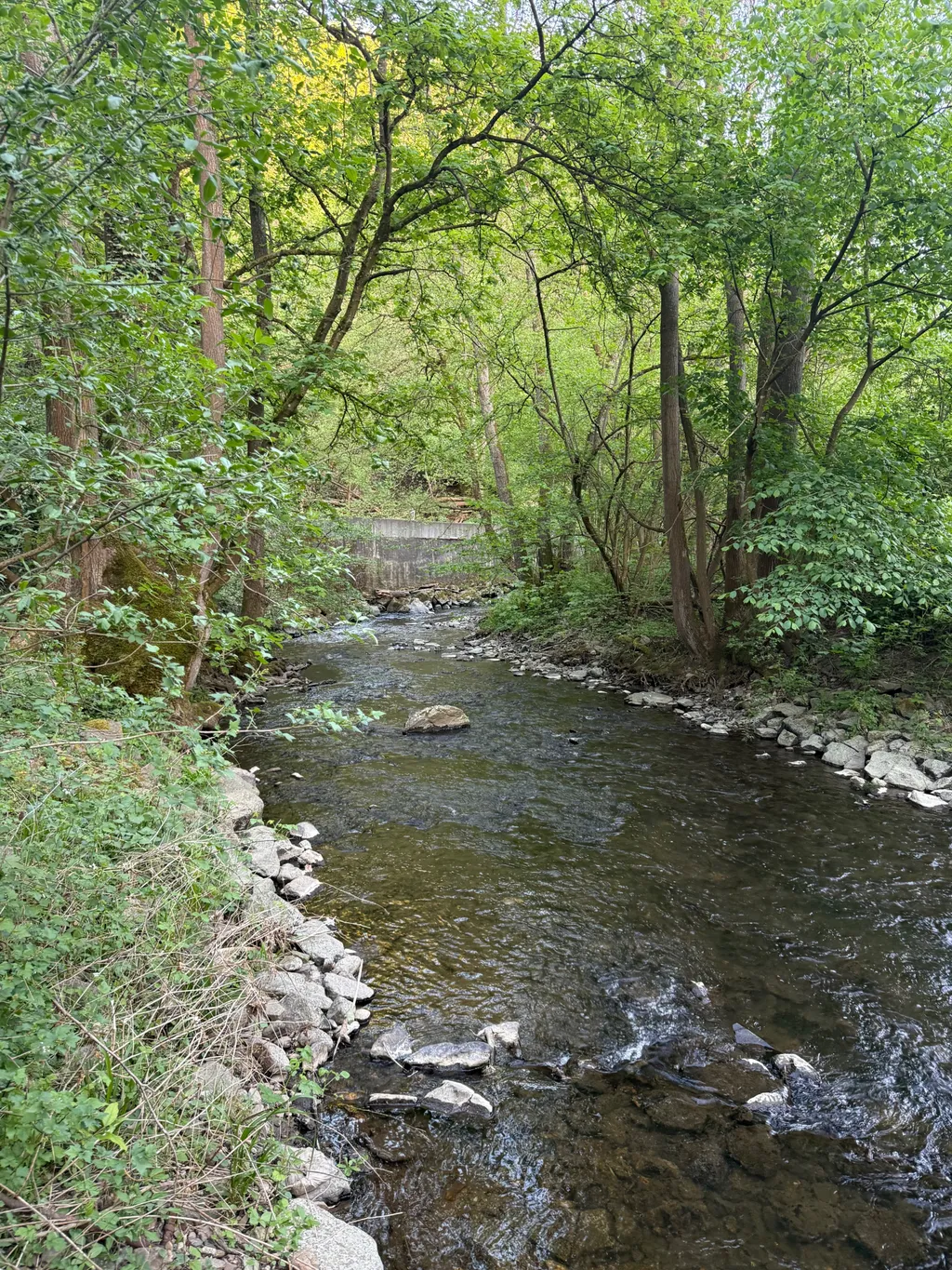 Bild von Frank für den Spot 1584