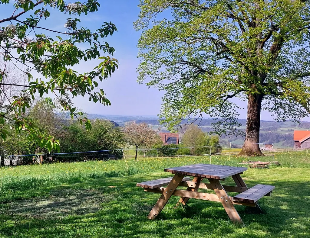 Lindenbaum Camp Sedelberg