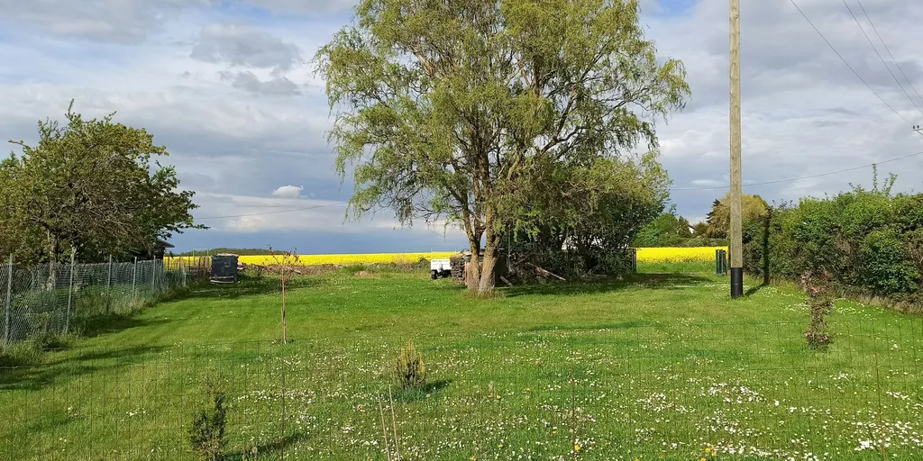 Landluft schnuppern (Kriegsfeld)