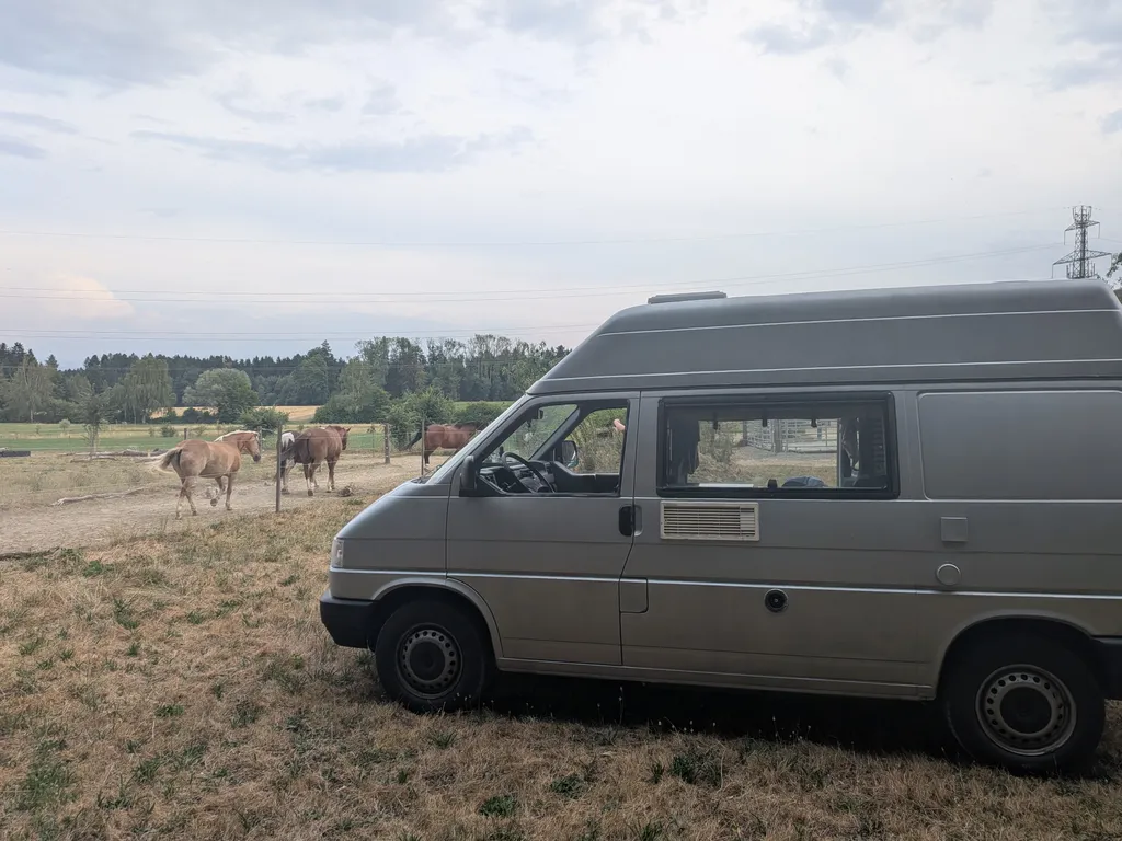 Bild von Carlijn für den Spot 736