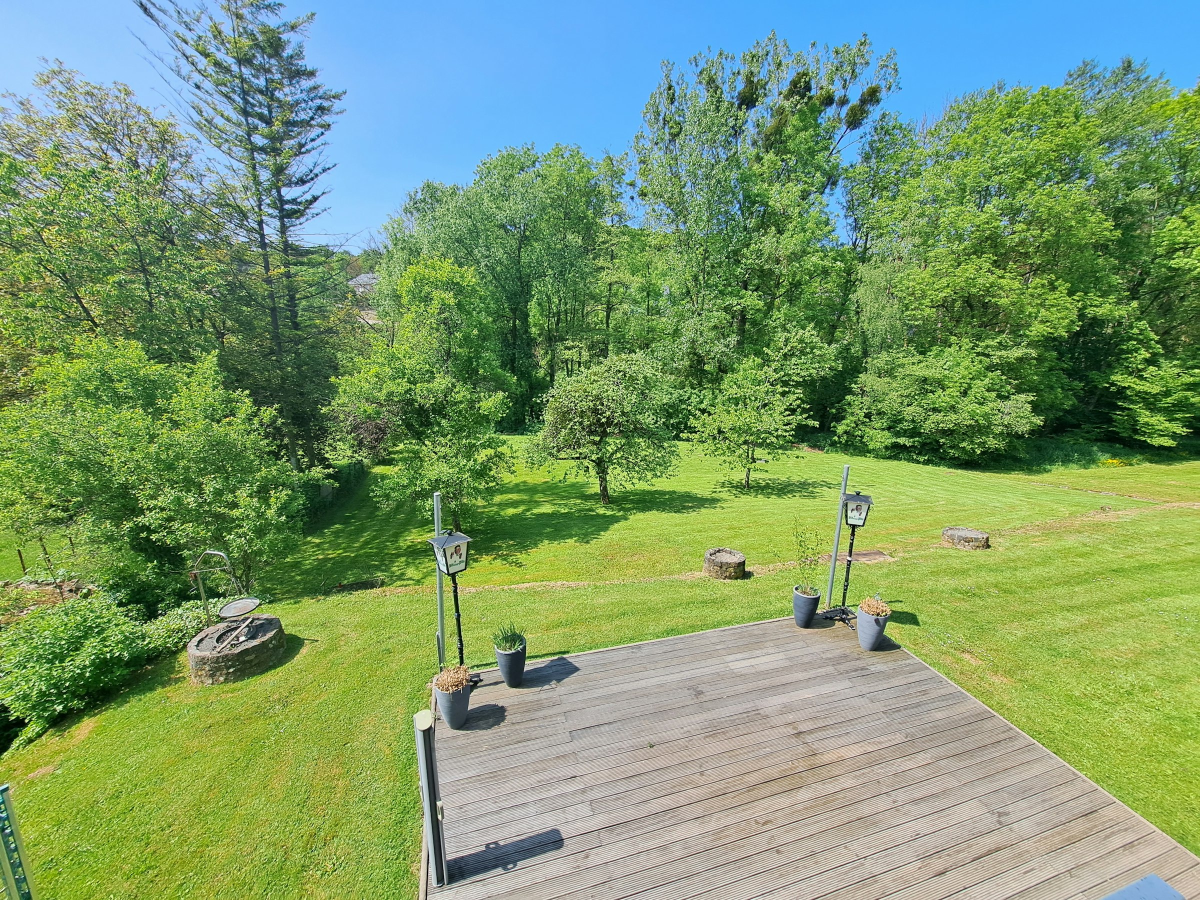 Wiese mit Bachlauf in der Eifel