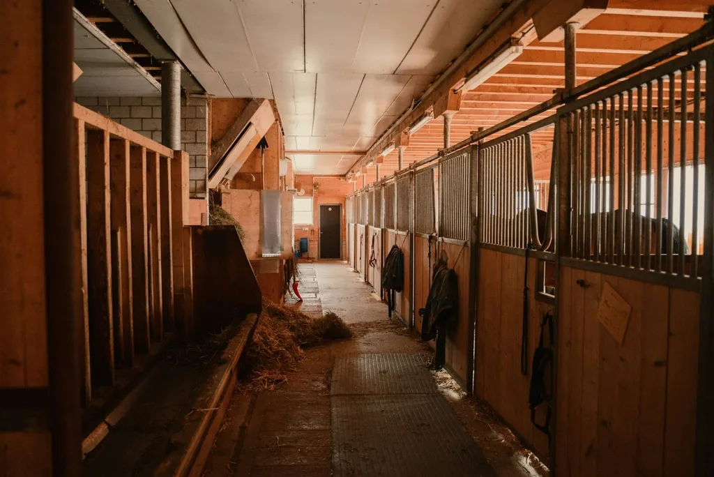 Campen auf dem Haflingerhof