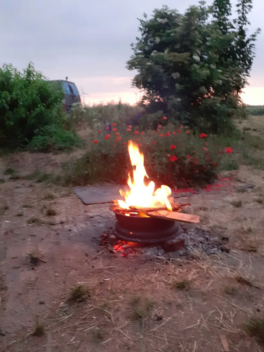 Schlafen zwischen Mohn und Kornfeld