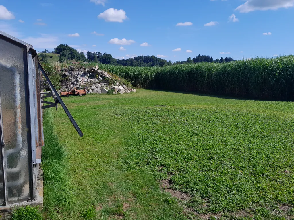 Bodensee Gärtnerei Oase