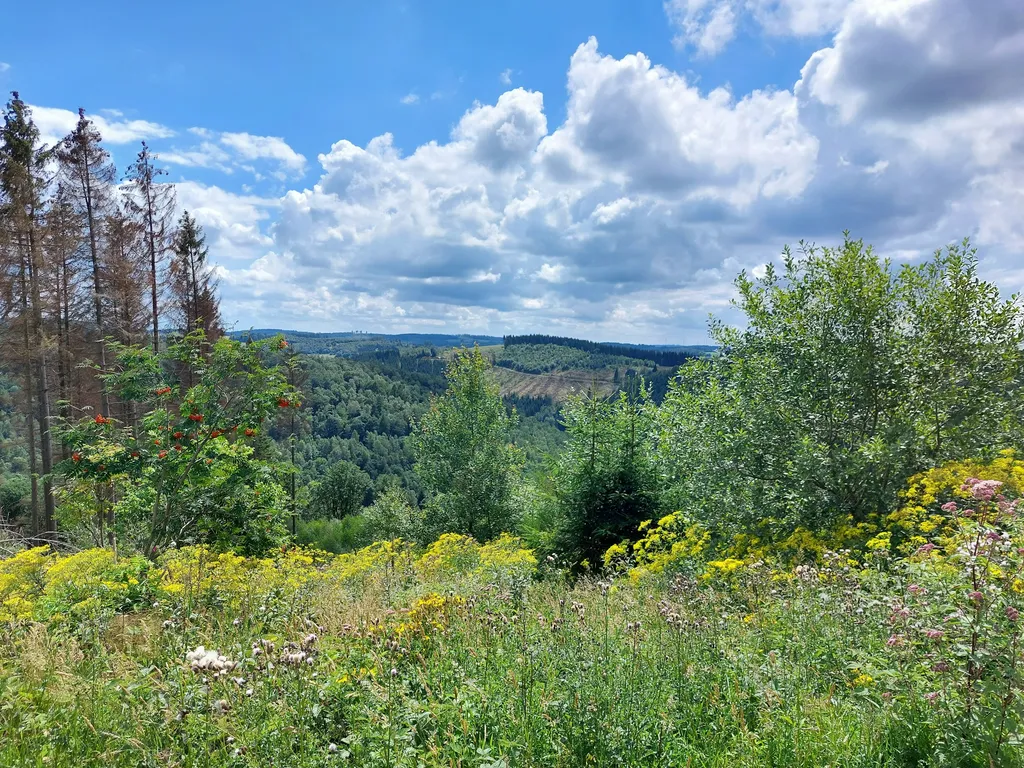 Urlaub an der Fachwerkhofbaustelle
