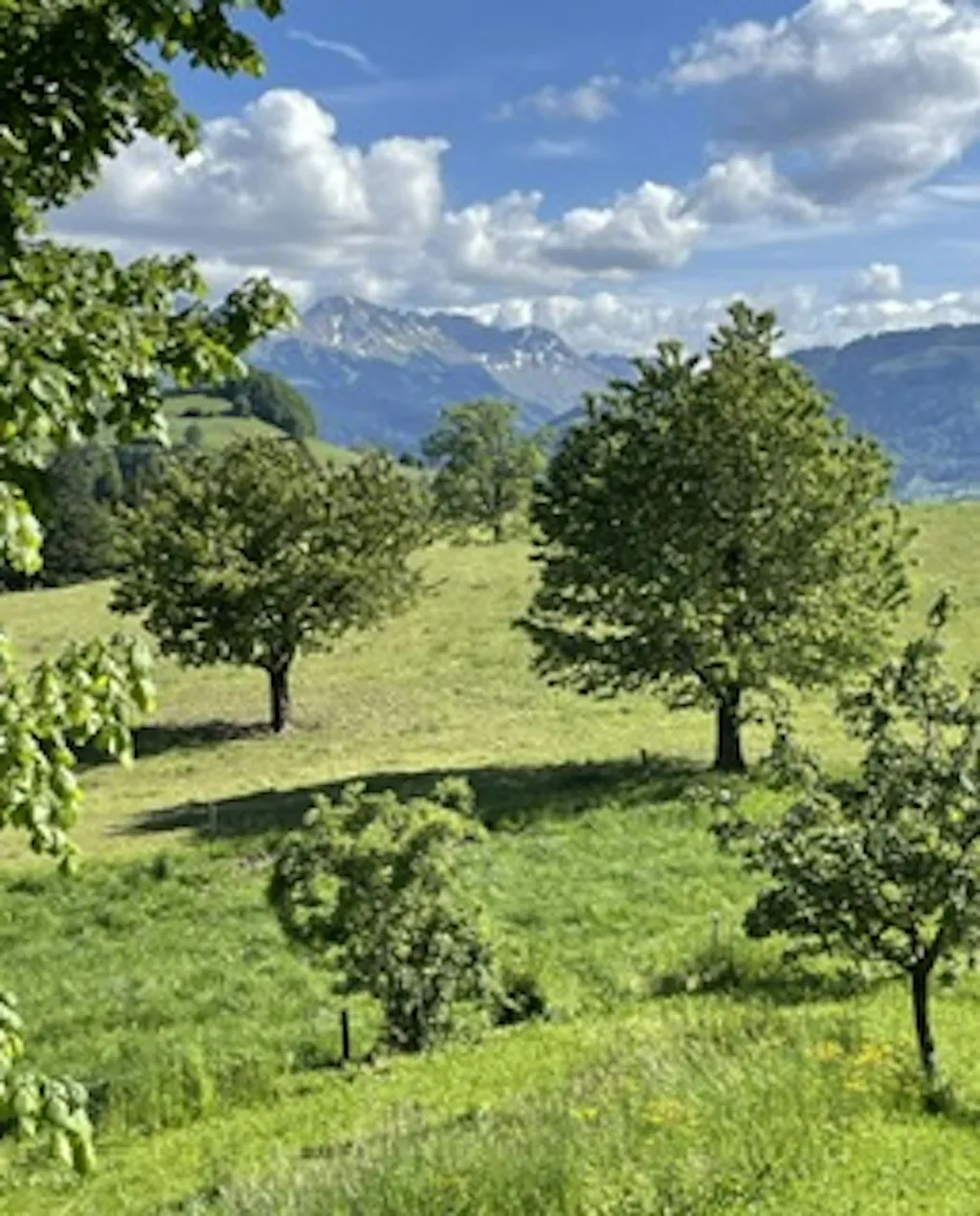 Wo einst die Ritter lebten