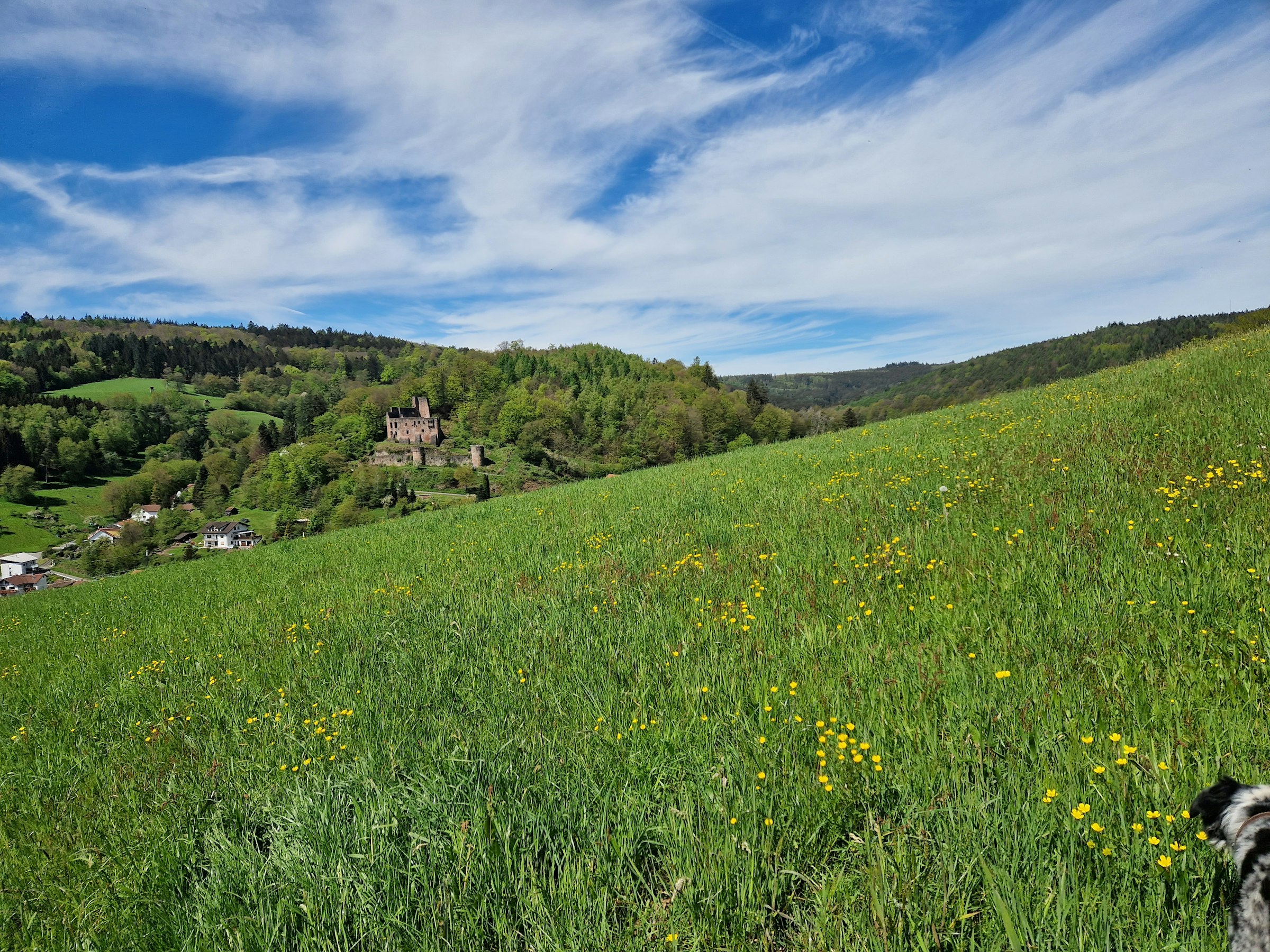 Burgruinenblick im schönen Odenwald