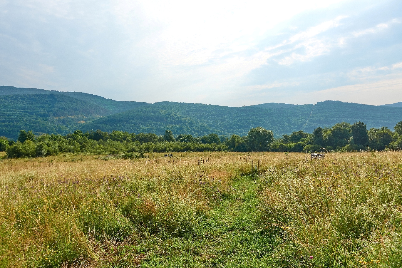 Farma pod Vlciu - campsite at the farm