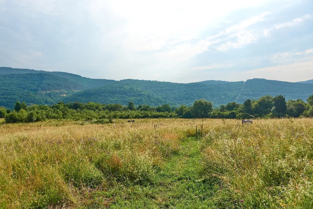 Farma pod Vlciu - campsite at the farm