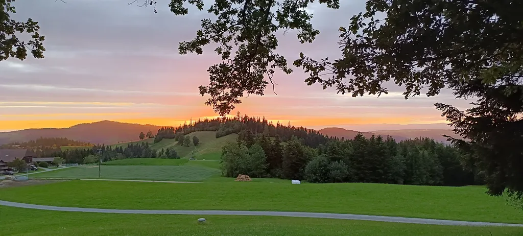 Bild von Saskia für den Spot 366