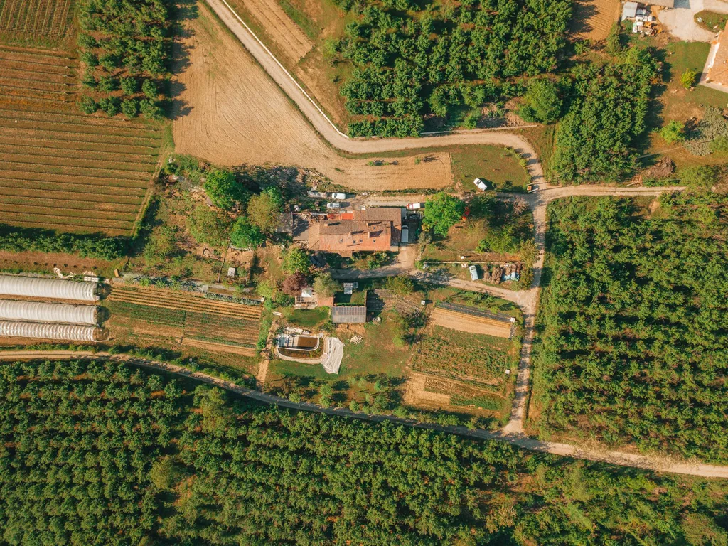 Camp L'Amaranto