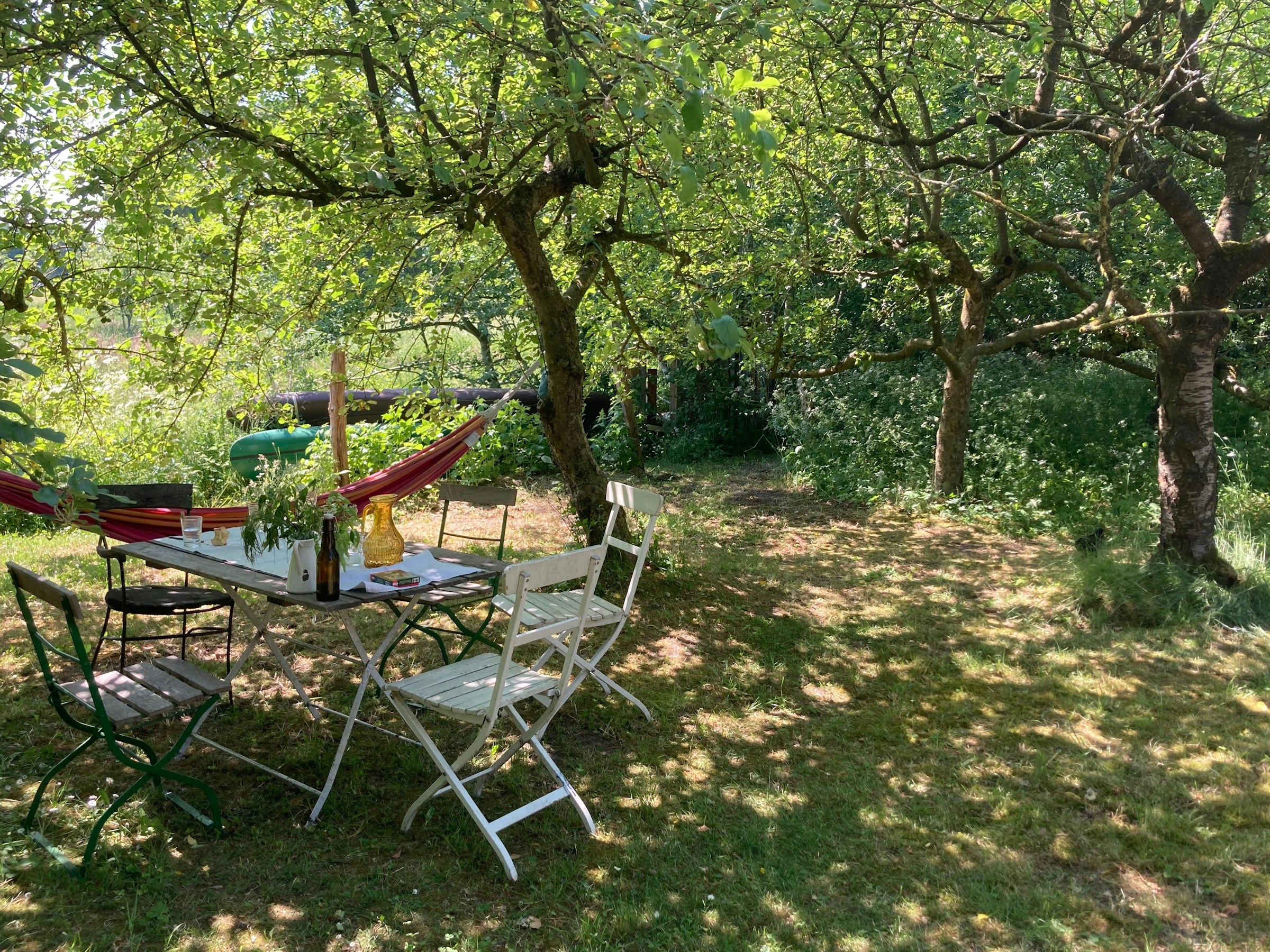 Zeltplatz unterm Apfelbaum
