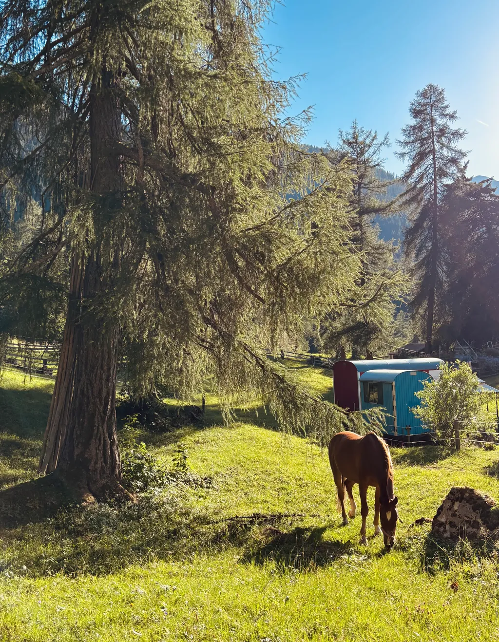 Immagine di Rahel per lo spot 1255