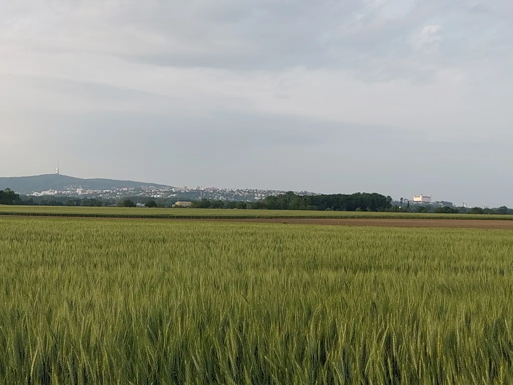 Bratislava Blick