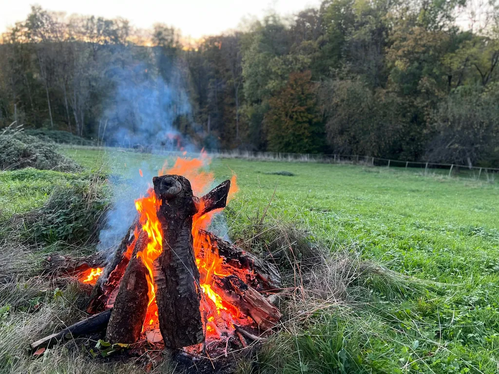 Abgelegene Senke am Walnussbaum