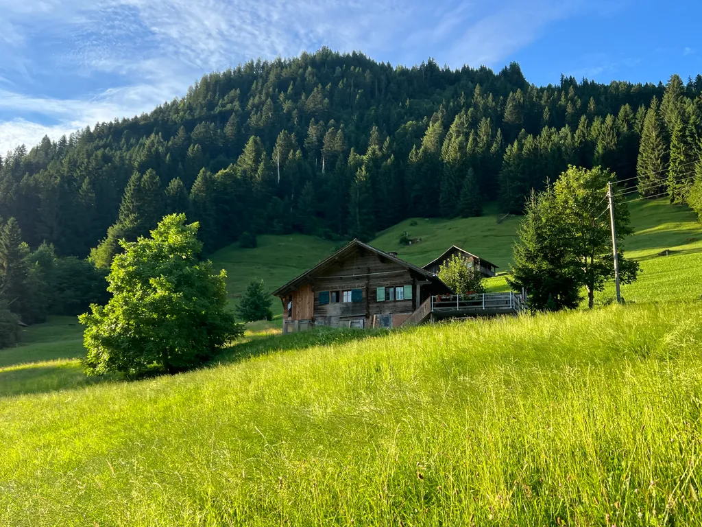 Swiss Mountain Experience