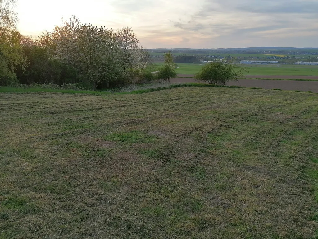 Ruhige Wiese im Grünen