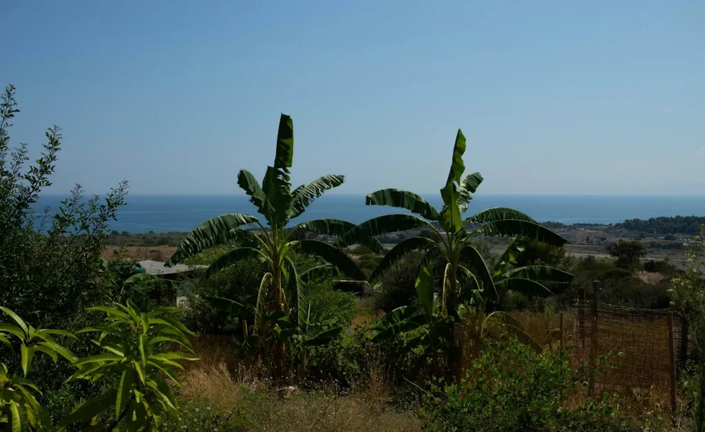 Campo con vista su mare