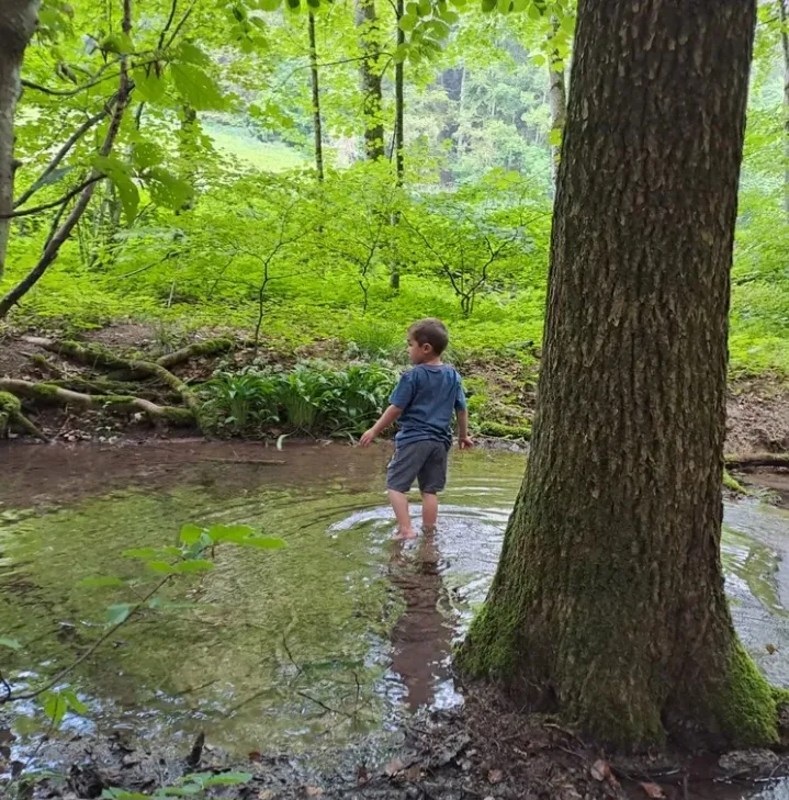 Freiämter - Traumaussicht