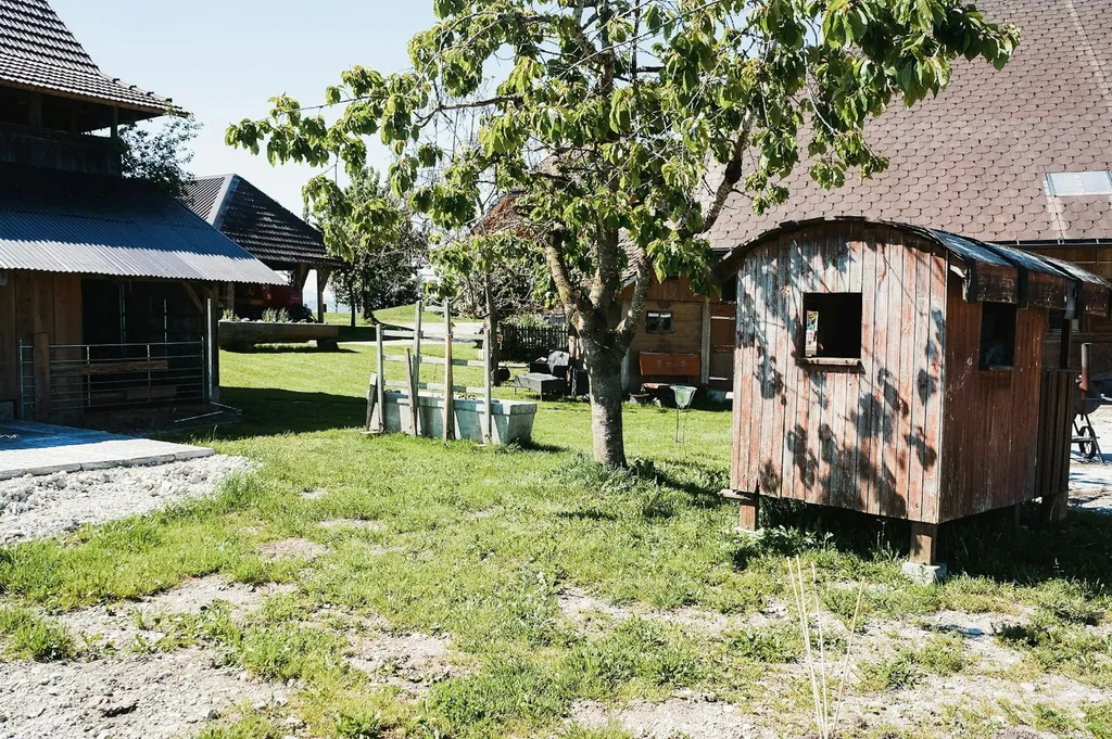 Unter dem Kirschbaum