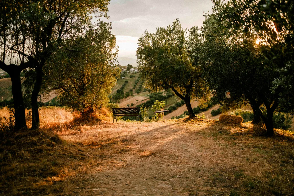 Image by Samuel for spot 651