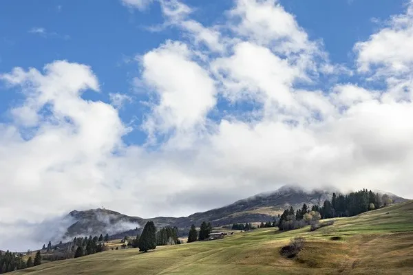 Aussicht vom Stellplatz