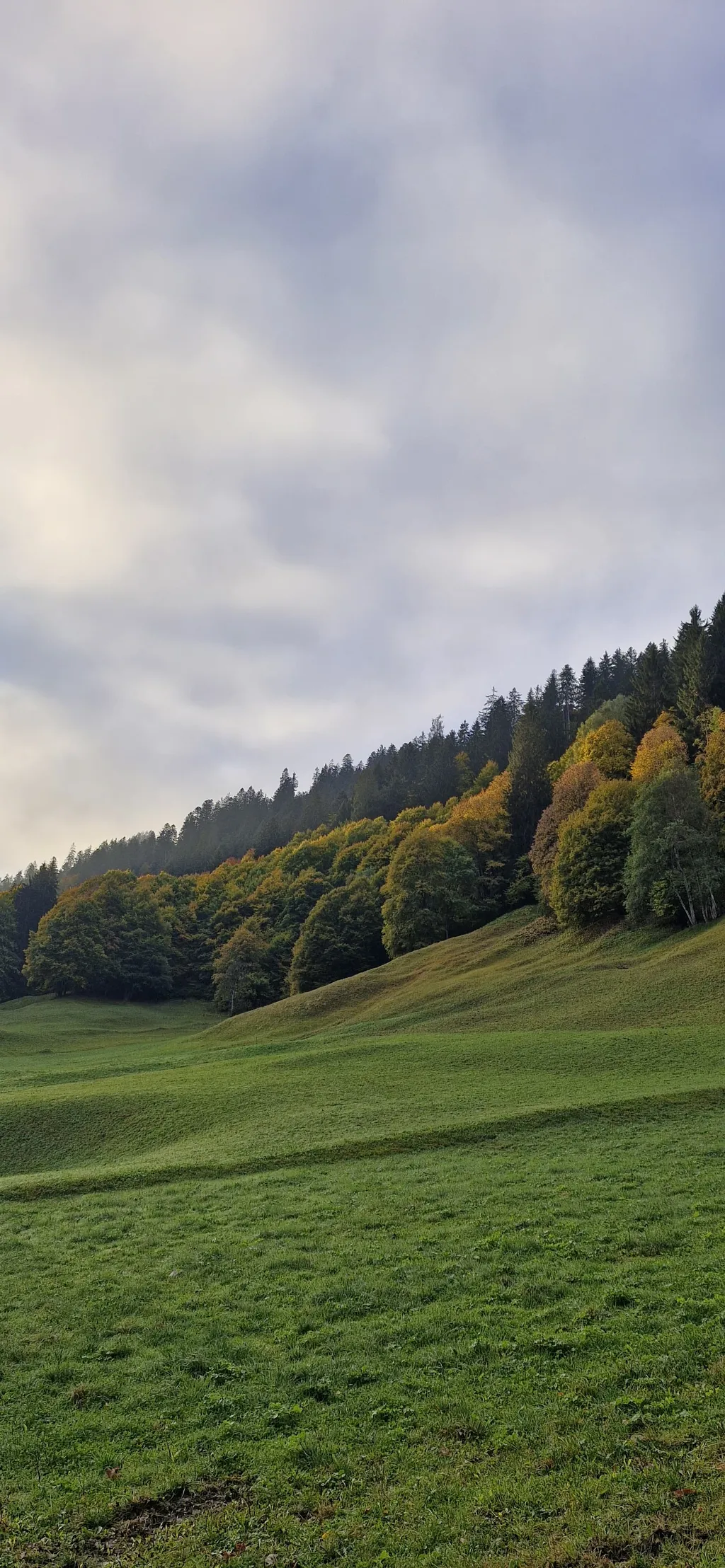 Bild von Salome für den Spot 295