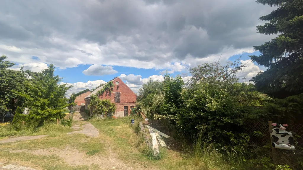 Große Wiese an der Alten Mühle