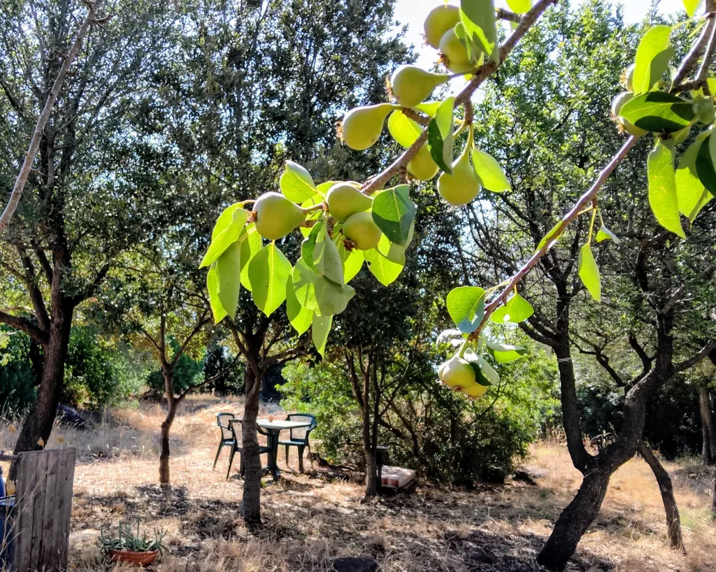 Campagna mediterranea a tre km dal mare